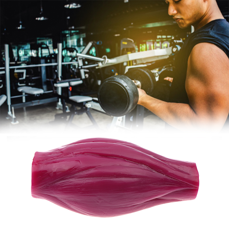 1 funt mięśni do utrzymania ko – Nutrition And Fitness Courses recenzja i cena